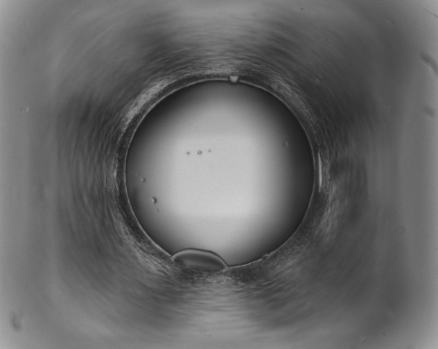 X0000101690483200807171439