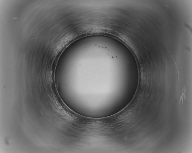 X0000101690485200807171439