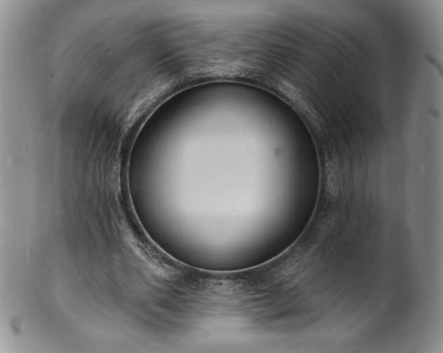 X0000101690486200807171439