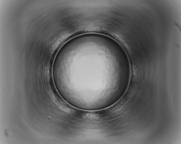 X0000101690487200807171439