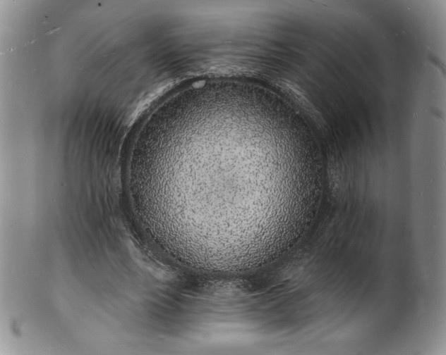 X0000101690488200807171439