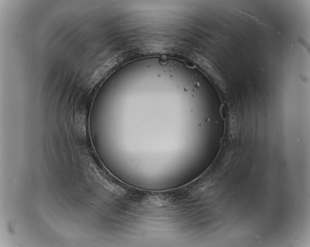 X0000101690489200807171439