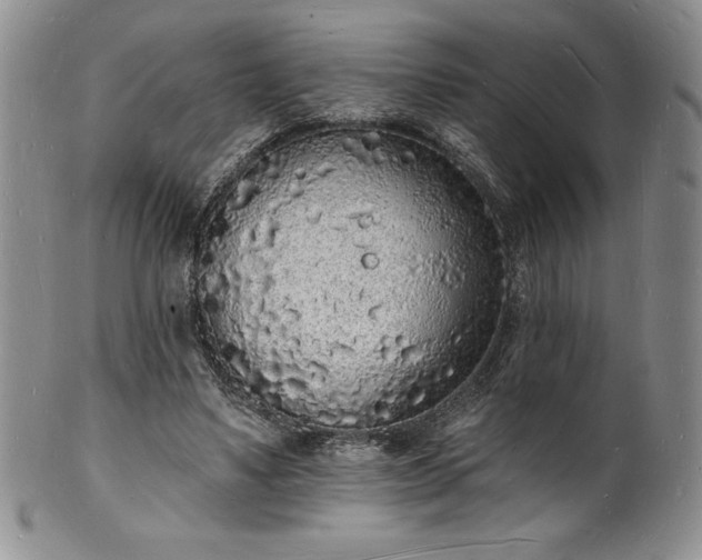 X0000101690491200807171438