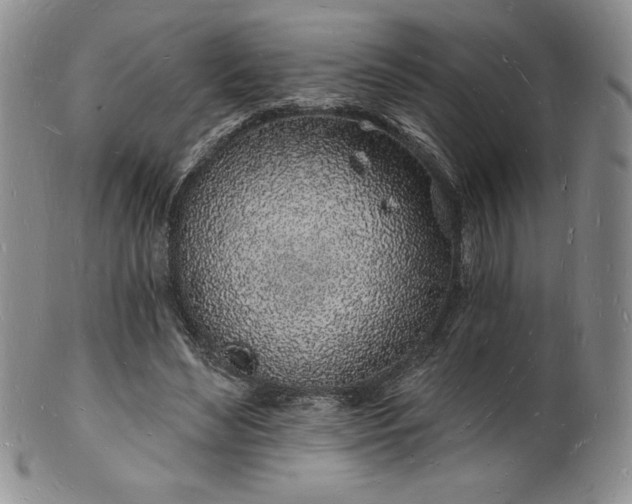 X0000101690492200807171438