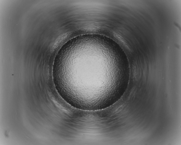 X0000101690494200807171438