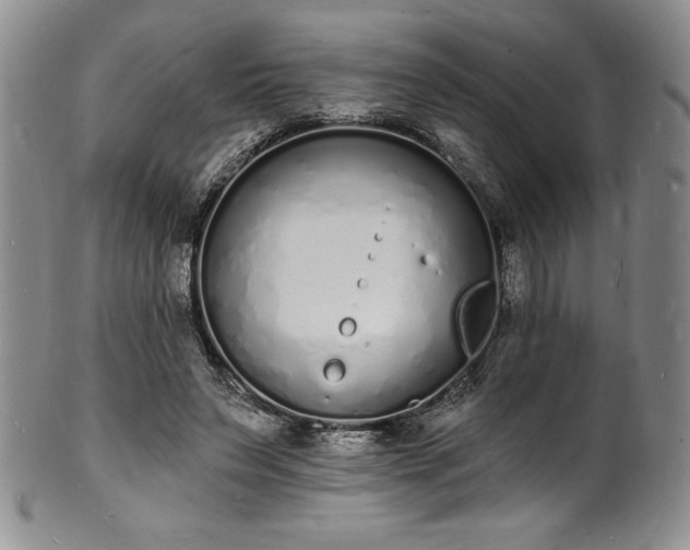 X0000101690495200807171438