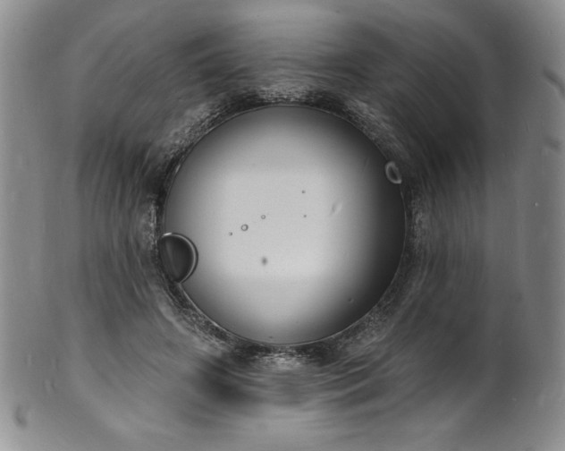 X0000101690498200807171438