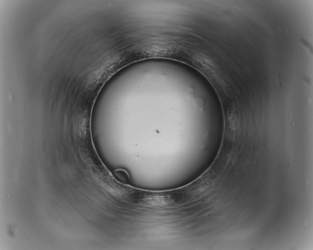 X0000101690499200807171438