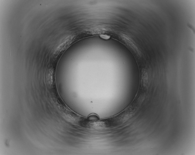 X0000101690501200807171438