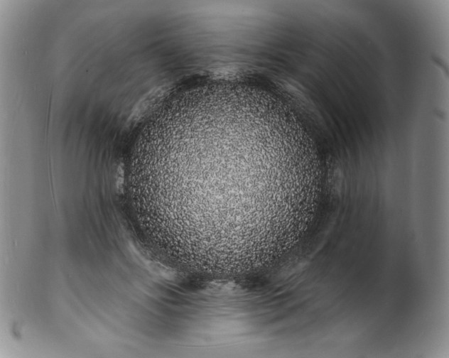 X0000101690502200807171438