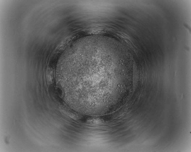 X0000101690503200807171438