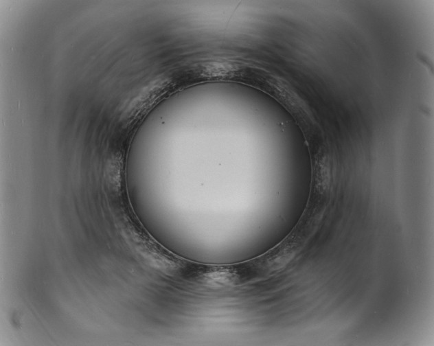 X0000101690505200807171438