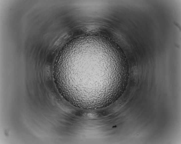 X0000101690506200807171438