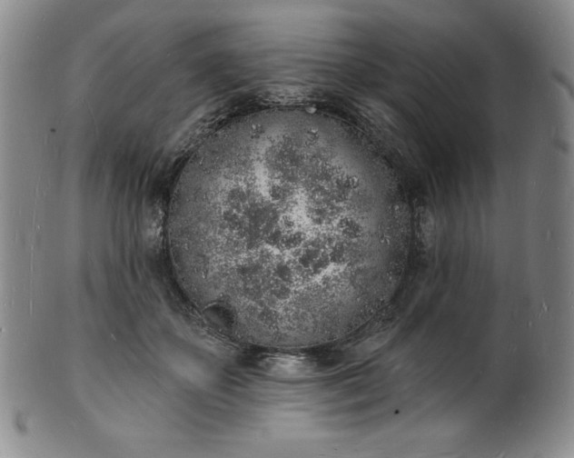 X0000101690507200807171438