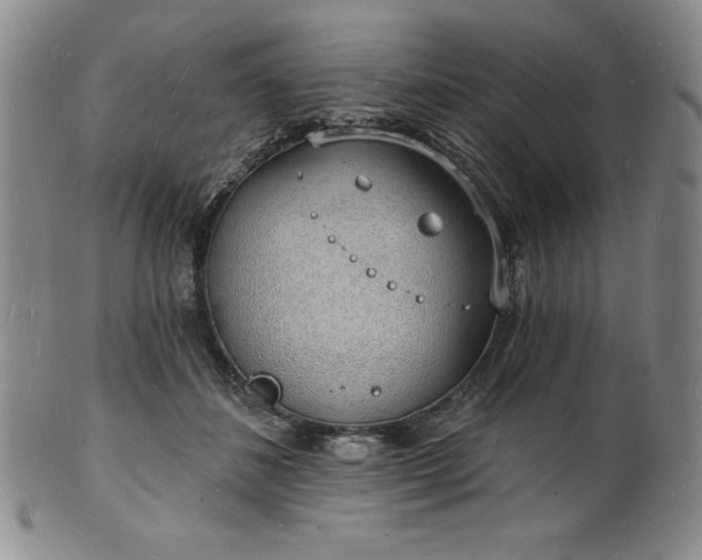 X0000101690508200807171438