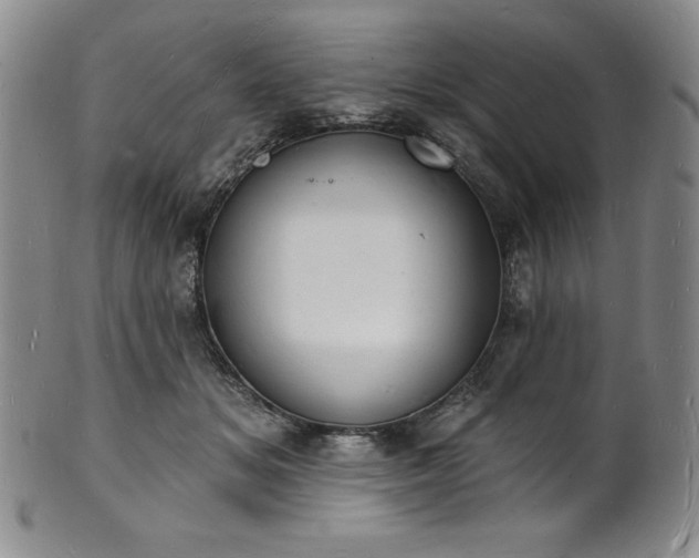 X0000101690509200807171438