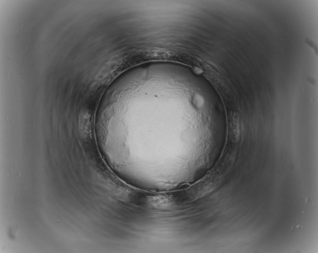 X0000101690511200807171438