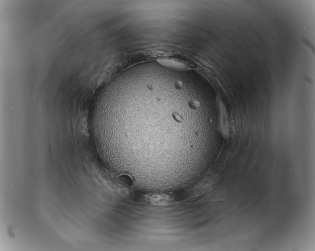 X0000101690512200807171438