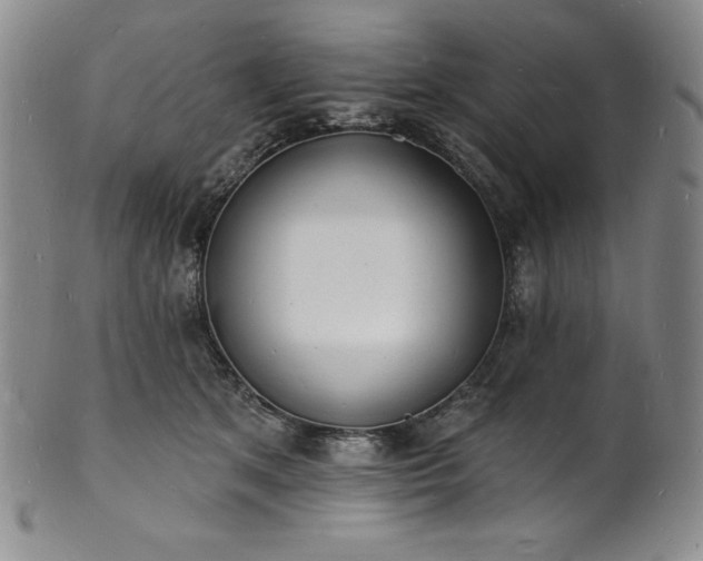 X0000101690513200807171438