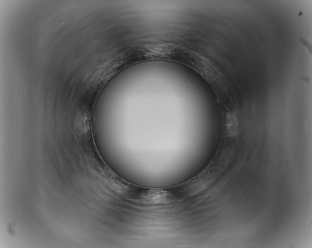 X0000101690514200807171438