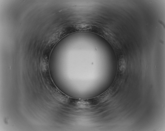 X0000101690515200807171438