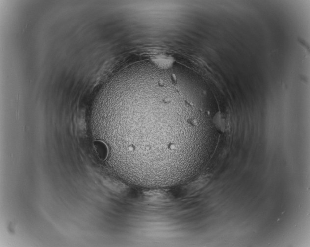 X0000101690516200807171438