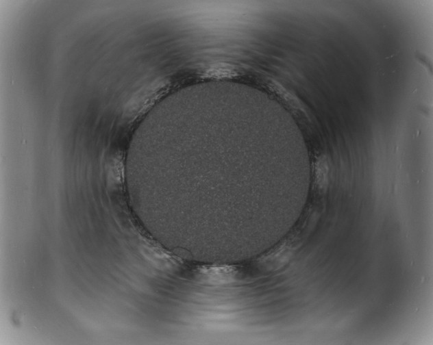 X0000101690517200807171438