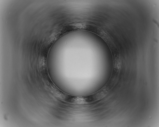 X0000101690518200807171438