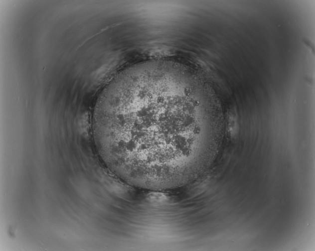 X0000101690519200807171438