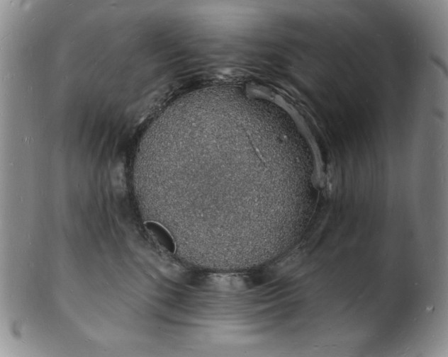 X0000101690520200807171438