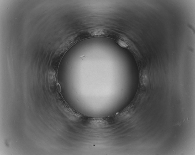 X0000101690521200807171438