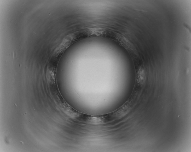 X0000101690522200807171438