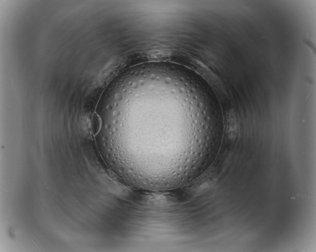 X0000101690523200807171438