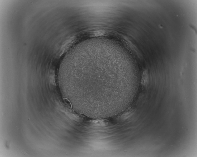 X0000101690524200807171438