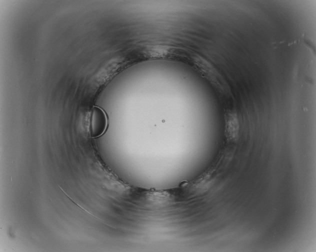 X0000101690525200807171438