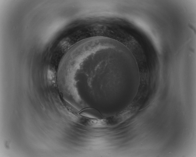 X0000101690526200807171438