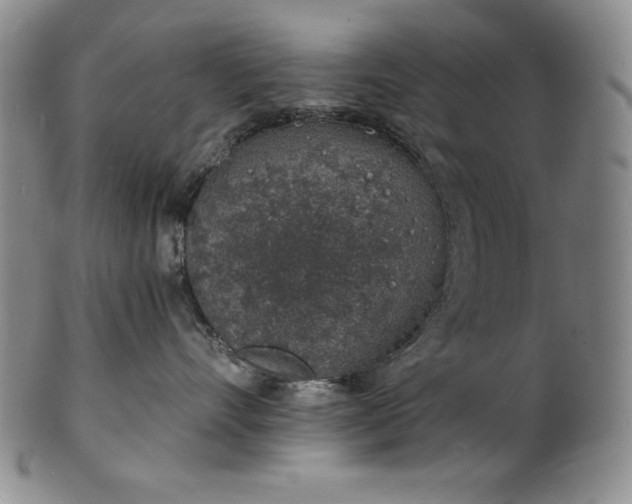 X0000101690528200807171438