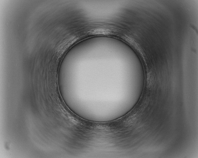 X0000101690529200807171437