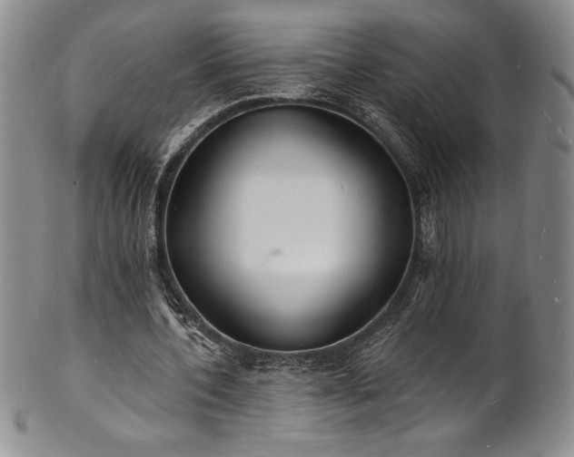 X0000101690532200807171437