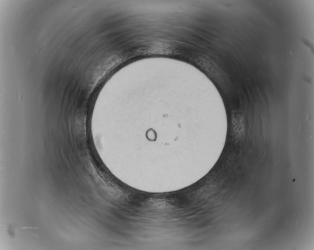 X0000101690534200807171437