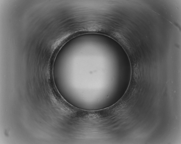 X0000101690536200807171437