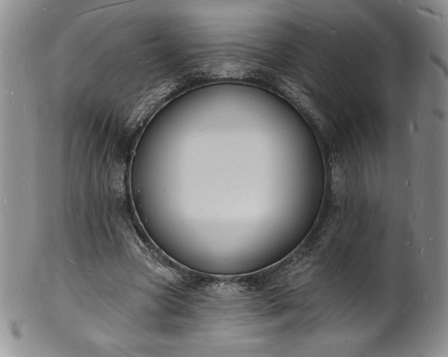 X0000101690537200807171437