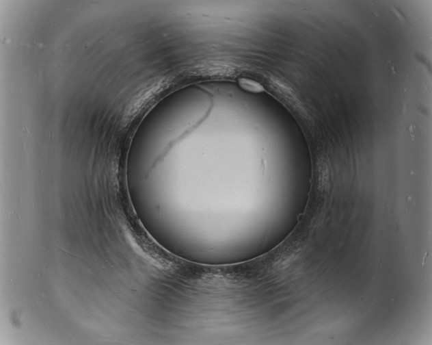 X0000101690538200807171437