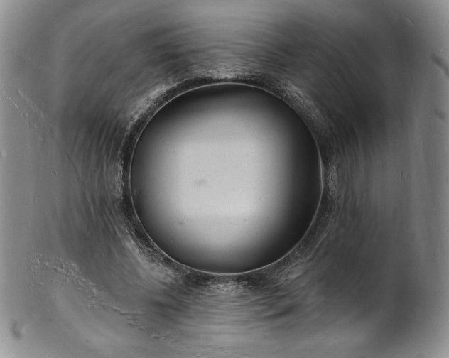 X0000101690540200807171437