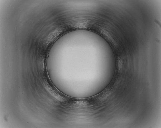 X0000101690541200807171437