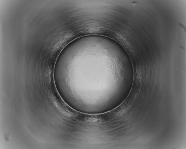 X0000101690542200807171437