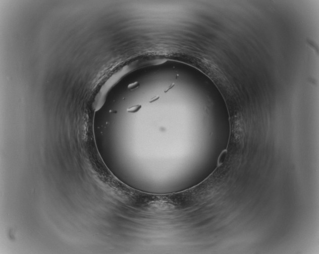 X0000101690544200807171438