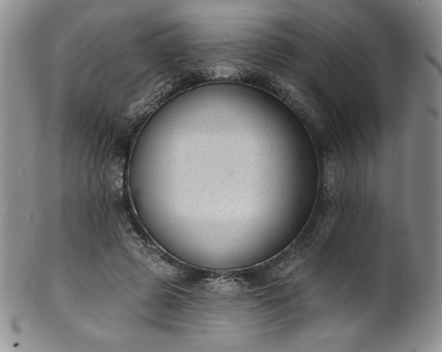 X0000101690545200807171438