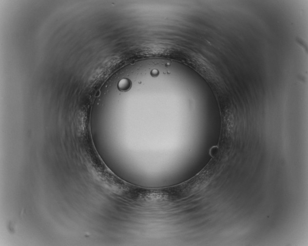 X0000101690546200807171438