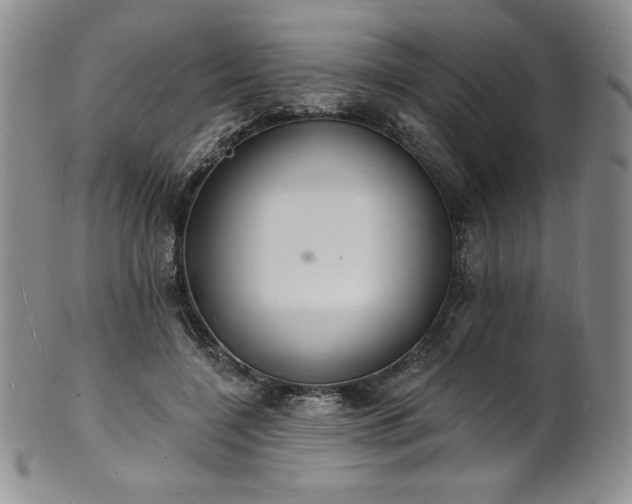 X0000101690548200807171438